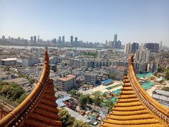 -黄鹤楼公园(黄鹤楼)