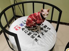 -藏猫猫咖啡主题馆(中央大道店)