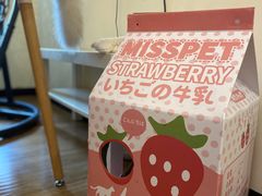 -滚猫咖啡·猫咖·猫友好撸猫(未来城店)