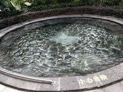 -御泉湾养生汤泉