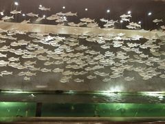 -三亚中亚国际大酒店
