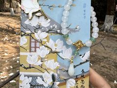 -灵谷景区