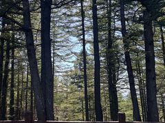 -驼梁风景区