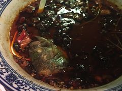 -蝴蝶汇音乐酒馆(罗湖店)