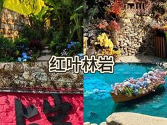 -淄博花灯齐彩城