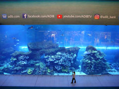 -迪拜水族馆及水下动物园