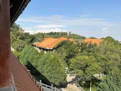 -白塔山公园