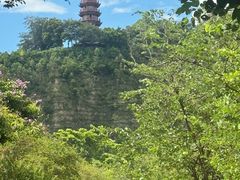 -南沙蒲洲花园