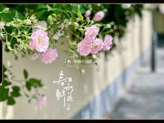 -颐和路民国时期公馆-风貌区