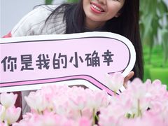 -百万葵园