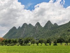 -万峰林风景区
