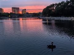 -长春世界雕塑园冰雪艺术天地