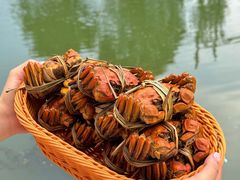 -蟹村草堂·苏式园林人文农家·大闸蟹