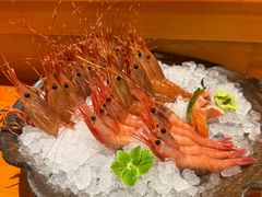 -月龍吟(朝龙汇店)