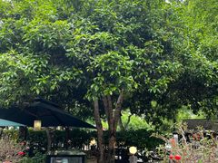 -和茶缘·梅坞农家菜(梅灵南路店)