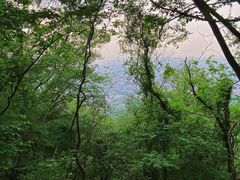 -紫金山山顶公园