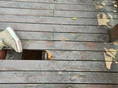 -上海佘山国家森林公园天马山园