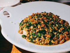 海肠捞饭-前海沿·青岛菜(大拇指广场石老人店)