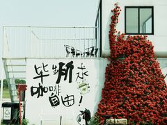 -南北湖风景区