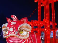 -北京石景山游乐园