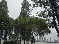 -燕鸣岛