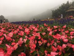 -广州市石门国家森林公园