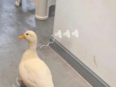 -DQ·蛋糕·冰淇淋(虹口龙之梦店)