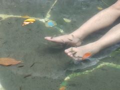 -广州锦绣香江度假别墅