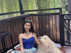 -TrueLove @ Neverland (Husky Cafe)