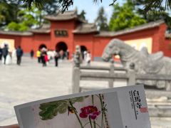 -洛阳白马寺