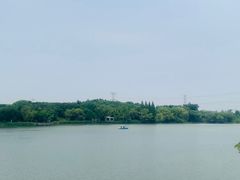 -昆山城市生态森林公园