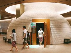 -高阳AquaField汗蒸幕