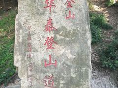 -紫金山山顶公园