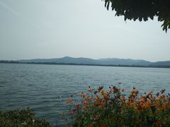 -同里国家湿地公园
