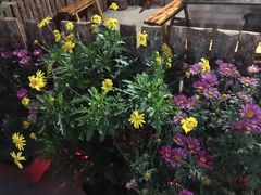 -又见炊烟．纳西小院云南菜