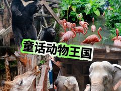 -长鹿旅游休博园
