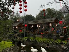 -青城甲(青城山店)