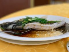 -金豪沙姜鸡饭店(昌平路店)