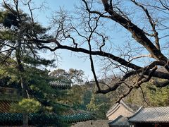 -潭柘寺景区