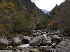 -青峰峡国家森林公园