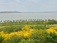 -天津东丽湖风景区
