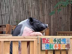 -HERRE·FARM 赫尔露营农场·团建聚会包场