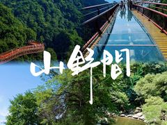 -少华山国家森林公园