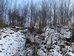 -太子岭滑雪场