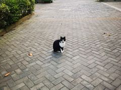 -东南大学(九龙湖校区)