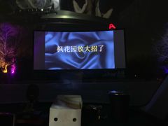 -枫花园汽车电影院(朝阳公园店)