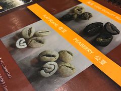 -巴厘岛黄金金兔咖啡工厂
