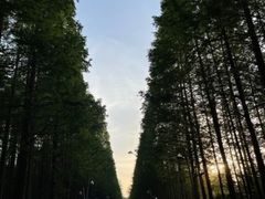 -渡海小渔村.老辈日照菜