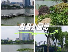 -后襄河公园