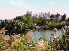-芒洲湿地公园
